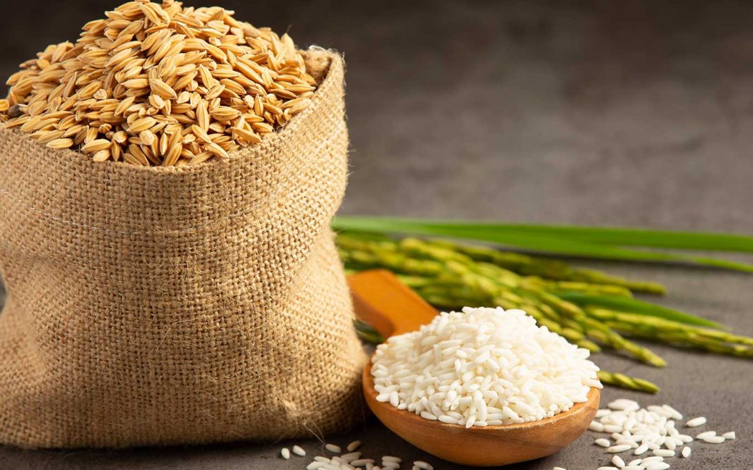 Arroz blanco, integral o parbolizado: cuál es más saludable según un especialista en nutrición